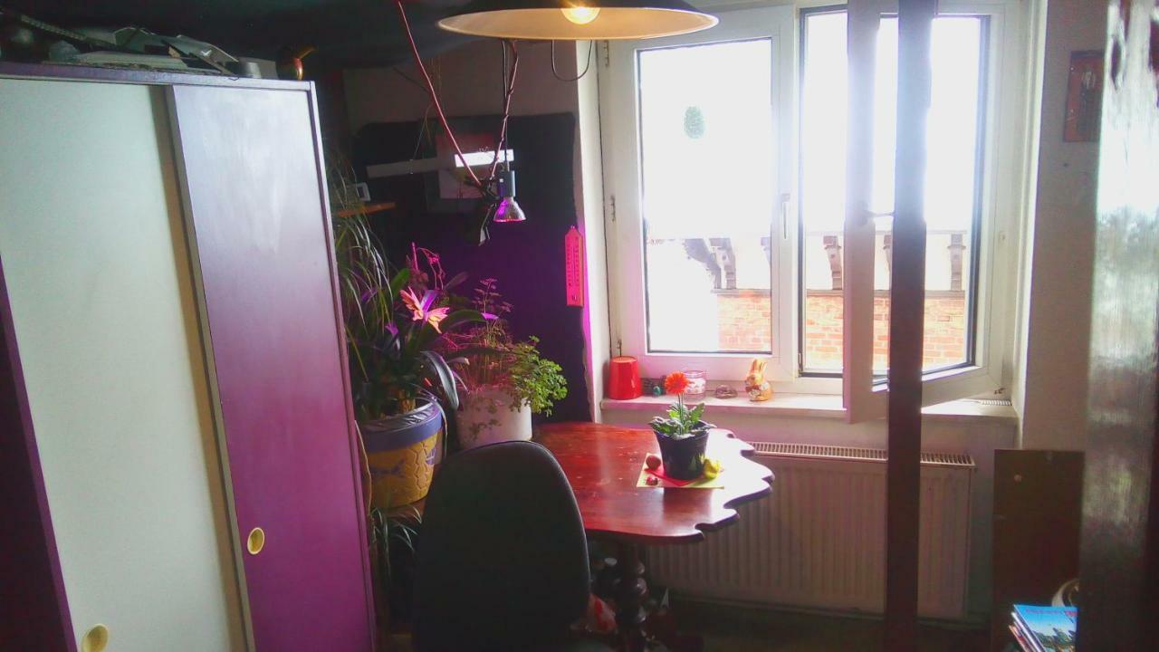 Citycentre Room For 1 Female Persons - Alternative Plus 1 Child Франкфурт-на-Майні Екстер'єр фото